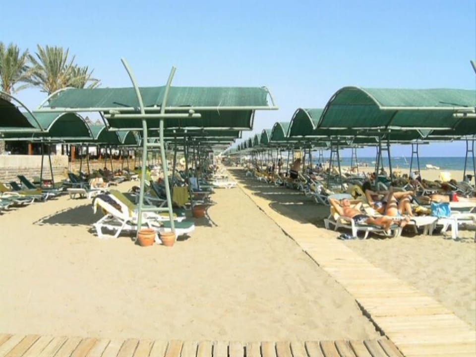 Strand Papillon Belvil