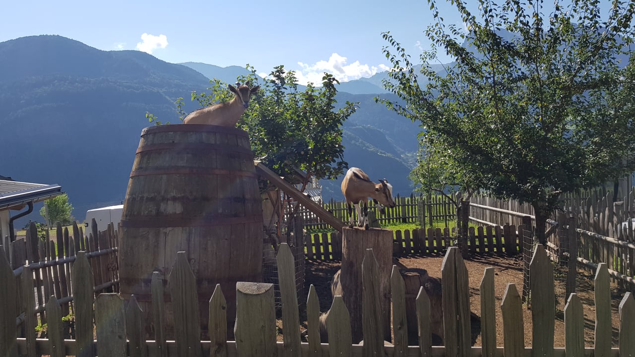 Sonstiges Hotel-Chalet Pennhof