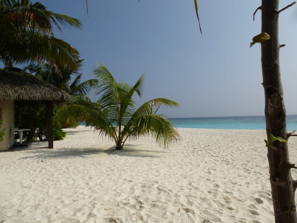Strandbar Ausblick Adaaran Select Meedhupparu Island Resort - Premium All Inclusive