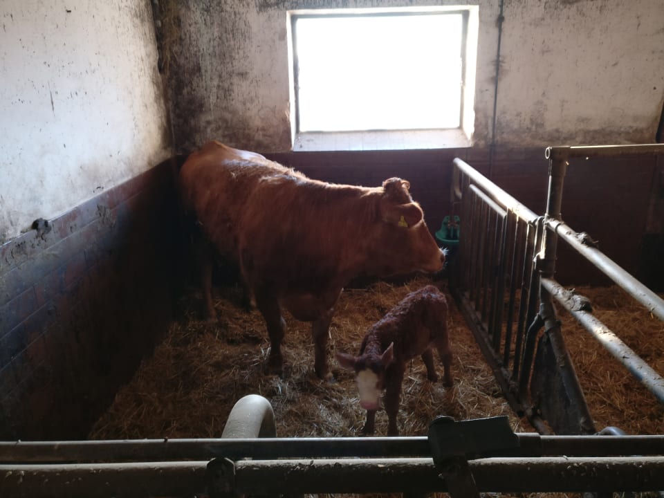 Sonstiges Urlaub am Regen - Ferienhof Dirnberger
