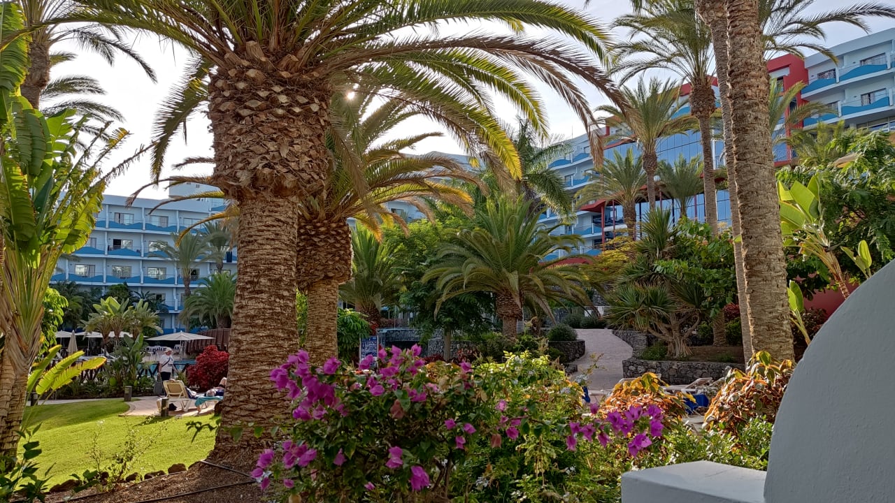 Gartenanlage R2 Pajara Beach
