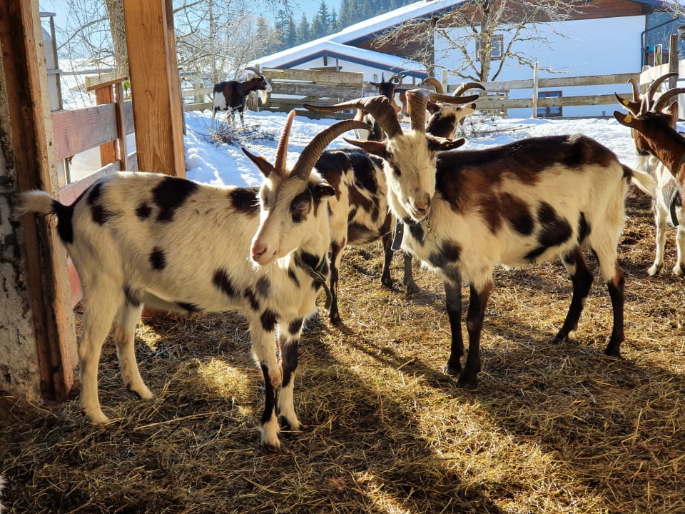 Gartenanlage Wohlfühlresort Peternhof