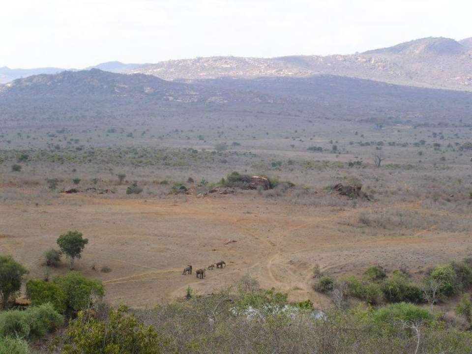 Ausblick 3 Rhino Valley Lodge