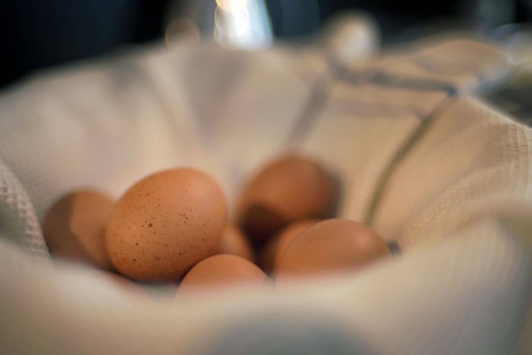 Gastro Haus am Fluss