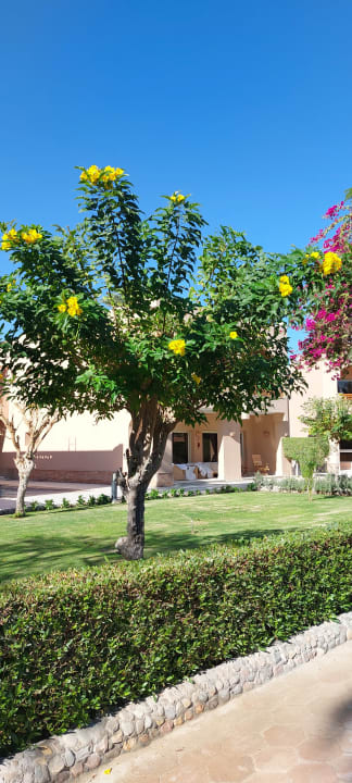 Gartenanlage Continental Hotel Hurghada