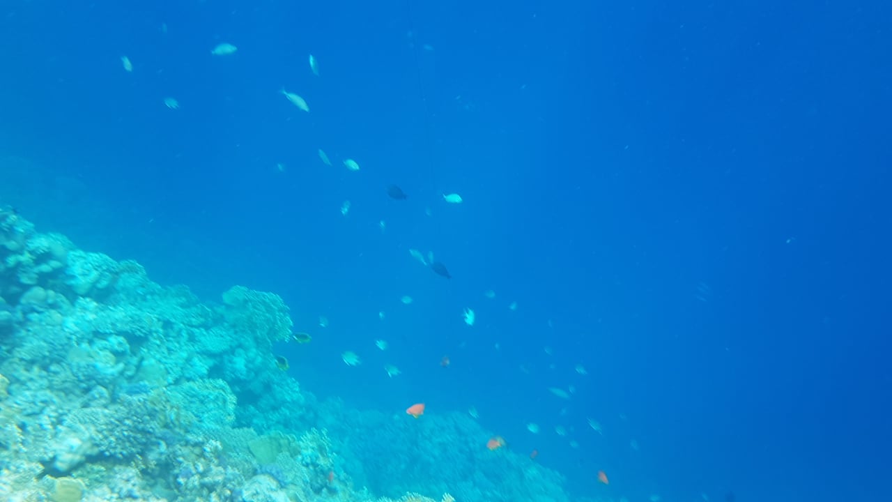 Sport & Freizeit Amarina Queen Resort Marsa Alam