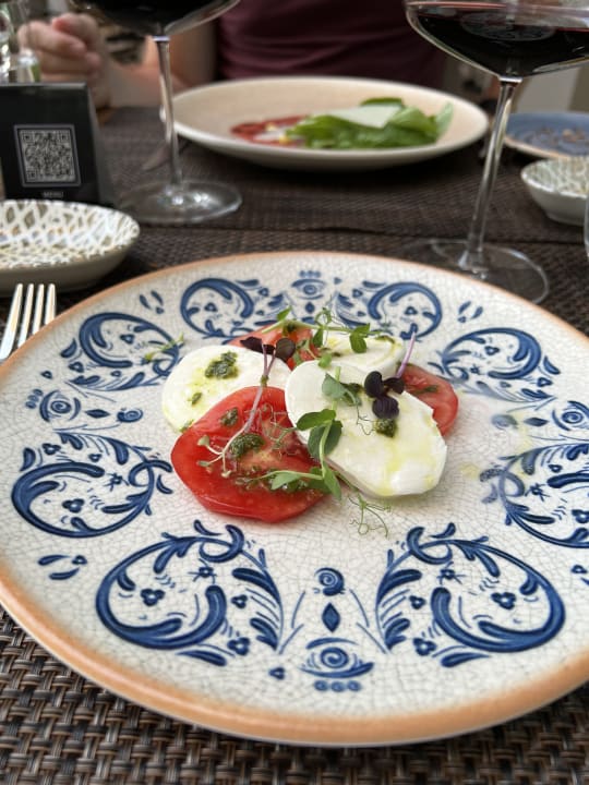 Gastro Acanthus Cennet Barut Collection