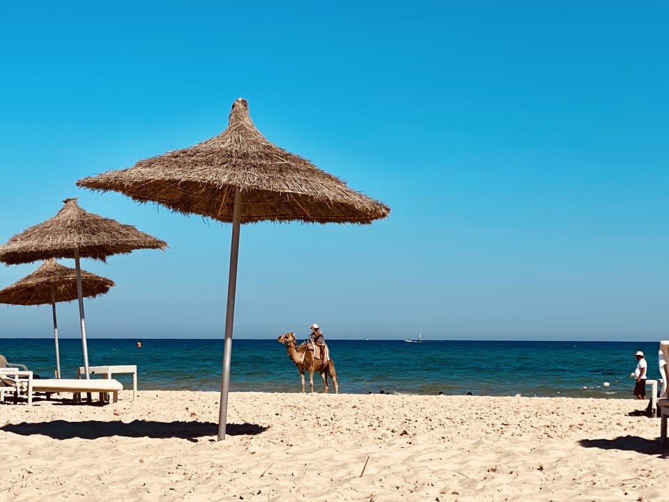 Strand Oceana Hotel & Spa