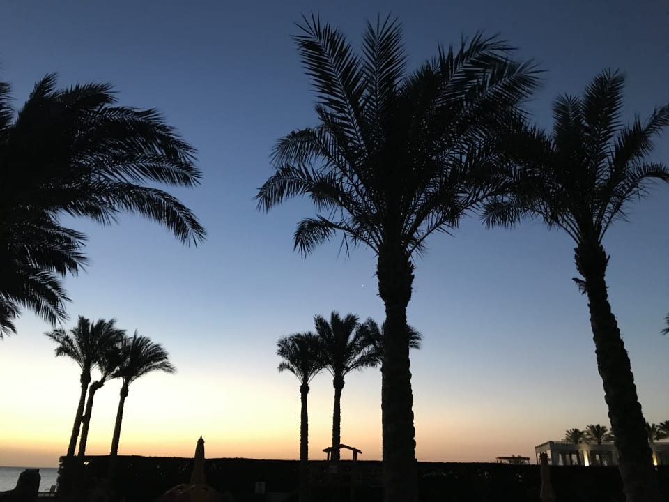 Ausblick Tropitel Sahl Hasheesh