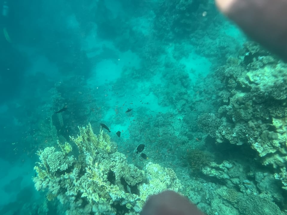 Strand Lazuli Hotel Marsa Alam