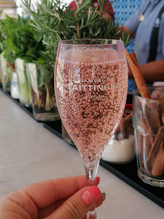 Gastro TRS Turquesa Hotel - Adults only