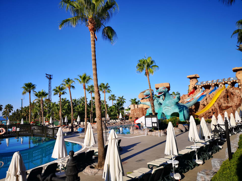 Sport & Freizeit Kamelya Aishen Club