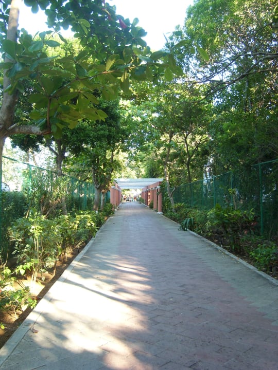 Fußweg zum Strand Hotel Riu Tequila