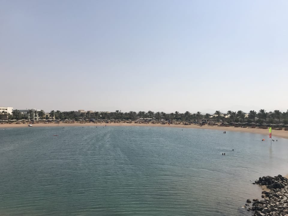 Ausblick Desert Rose