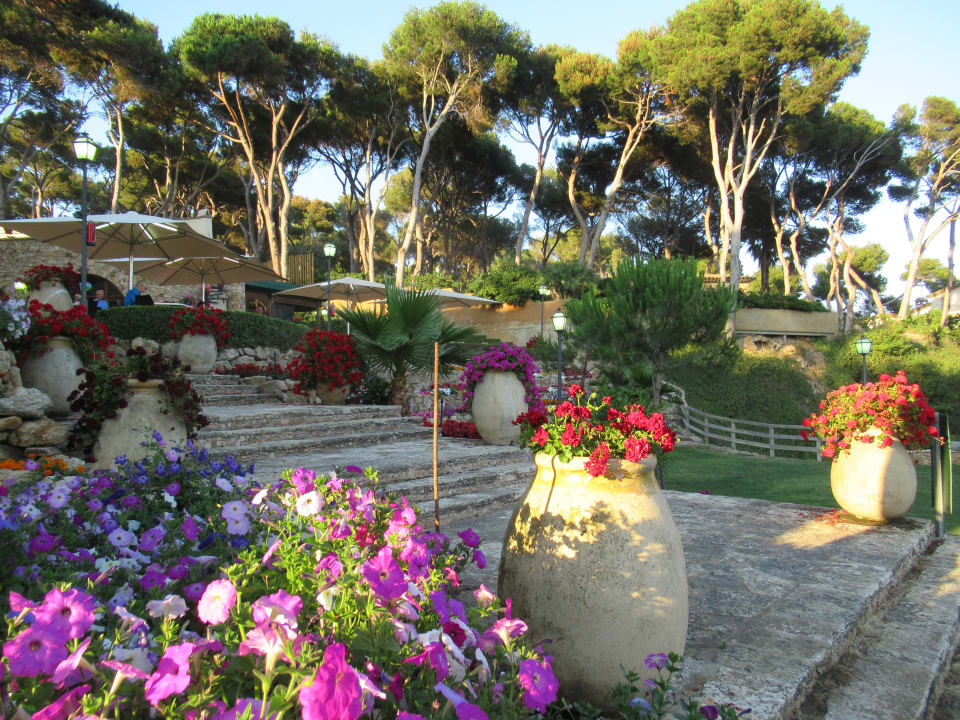 Gartenanlage Camping & Bungalows Treumal