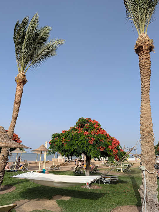 Strand JAZ Aquamarine Resort