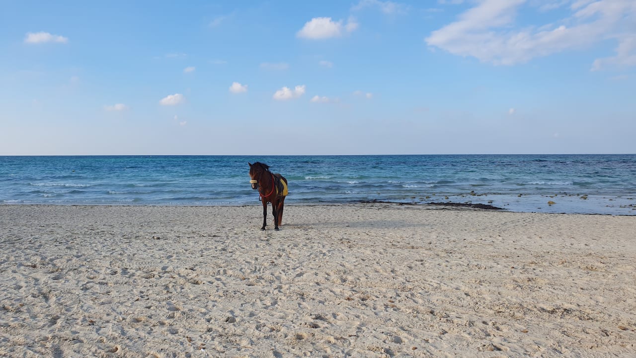 Strand Calimera Yati Beach