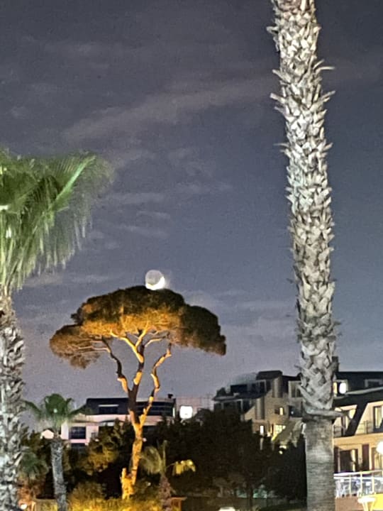 Gartenanlage Pine Beach Belek