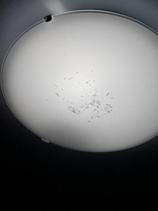 Zimmer Villa Swalletta