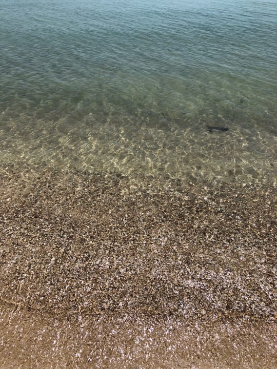 Strand Tui Blue The Passage Samui Pool Villas & Beach Resort