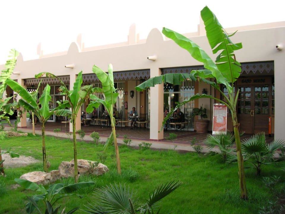 Frühstück unter Bananen Hotel Riu Funana