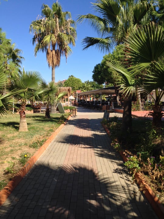 Weg vom Strand Club Turtas Beach Hotel