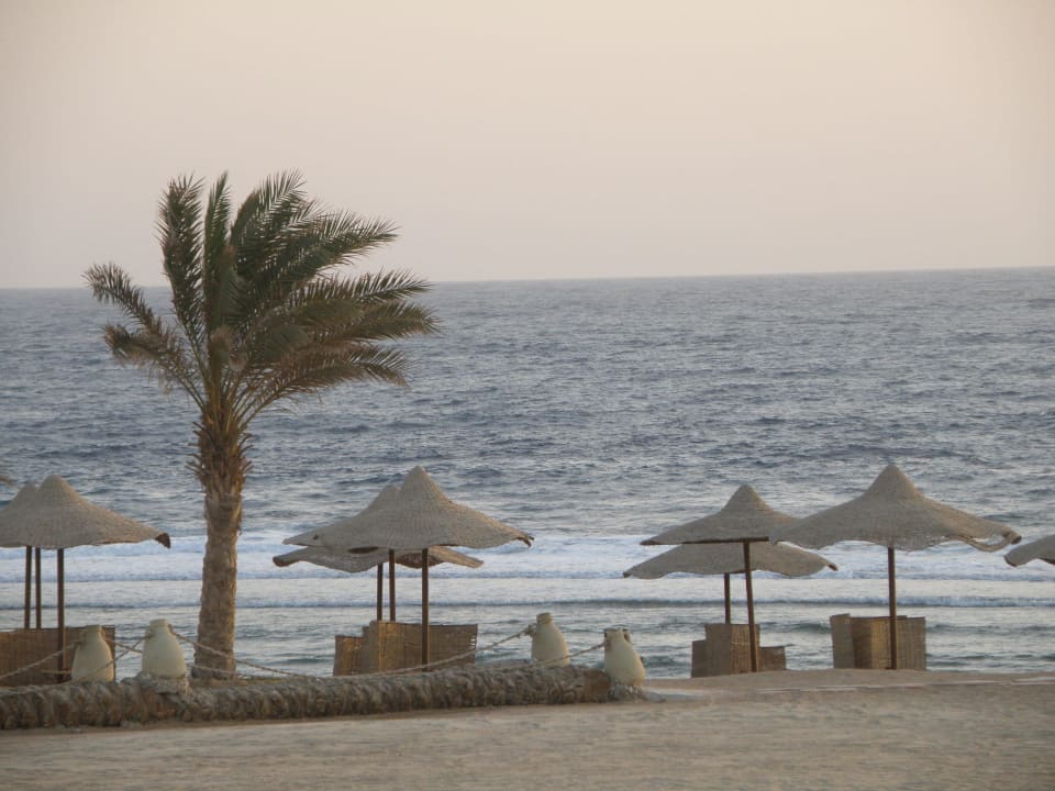 Na plaży zawsze znajdziesz wolny leżak Three Corners Sea Beach Resort