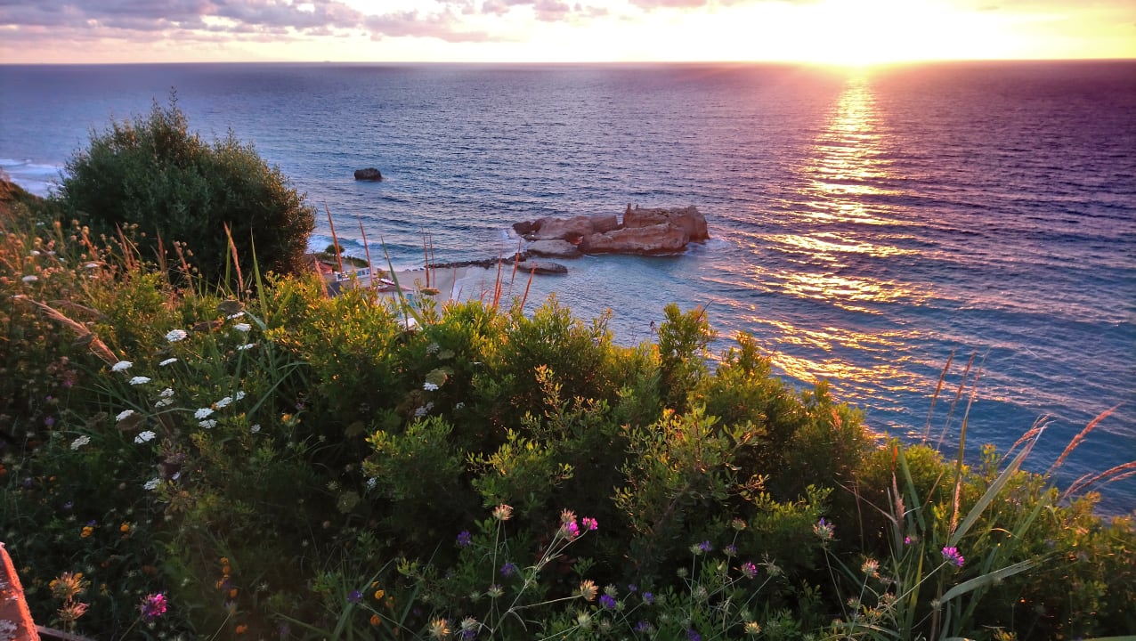 Ausblick TUI BLUE Tropea