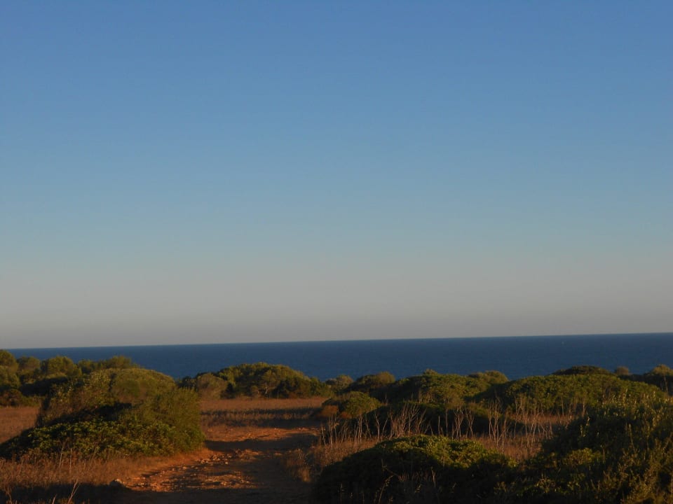 Punta de N'Amer  allsun App.-Hotel Orient Beach