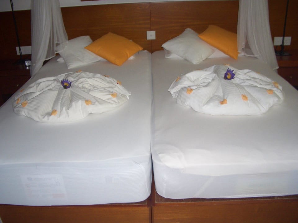 Jeden Tag ein anderes Motiv Hotel Lanka Princess Ayurveda