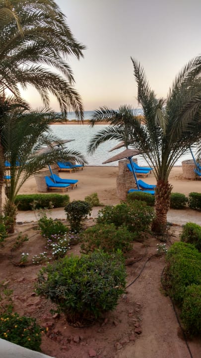 Strand Sheraton Miramar Resort El Gouna