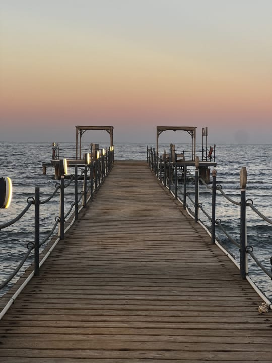 Strand The Oasis Dive Resort