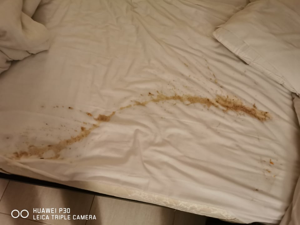 Zimmer El Karma Aqua Beach Resort