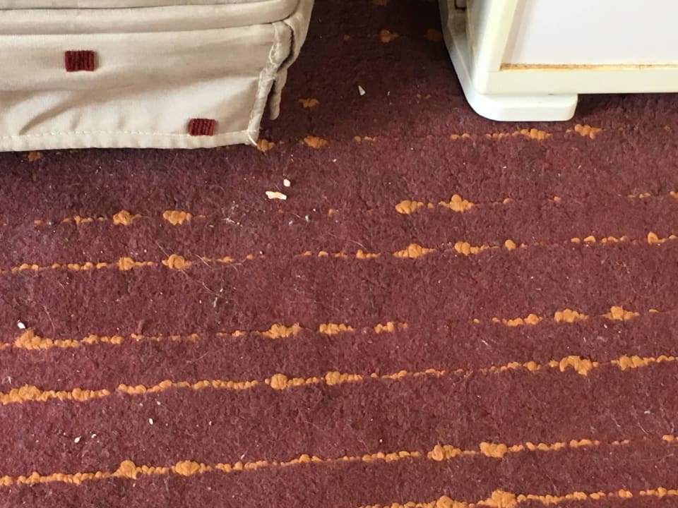 Hotelteppisch und Kühlschrank Hotel Side Elis