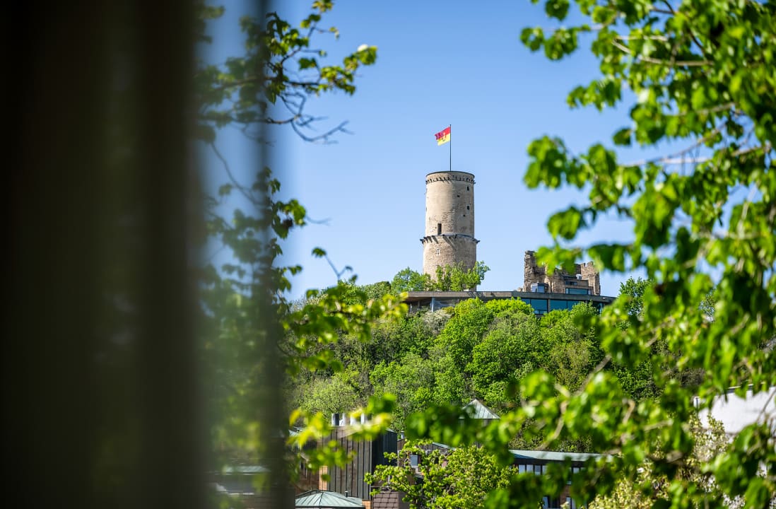 Ausblick Insel Hotel Bonn