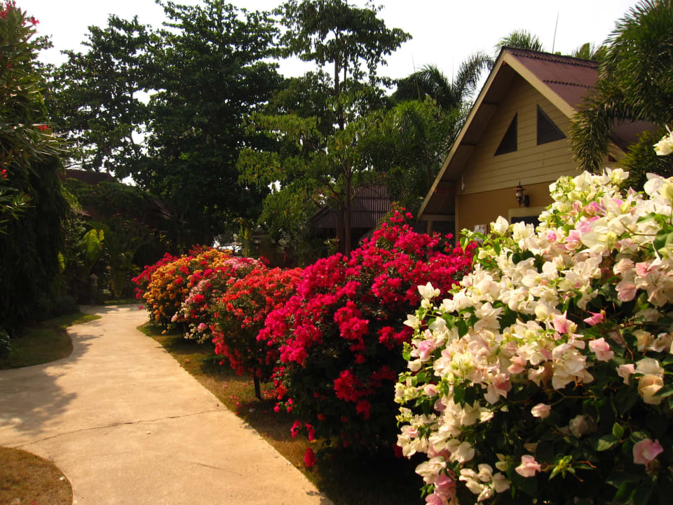 Tolle Anlage Hotel Lanta Castaway Resort