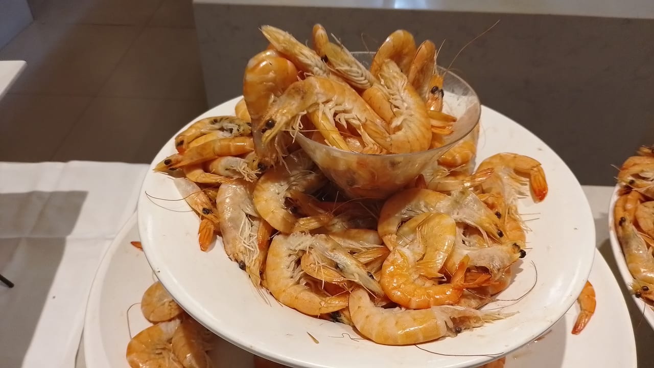 Gastro Hotel Riu Festival