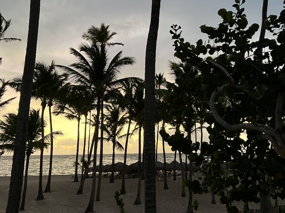 Ausblick Iberostar Selection Coral Bávaro