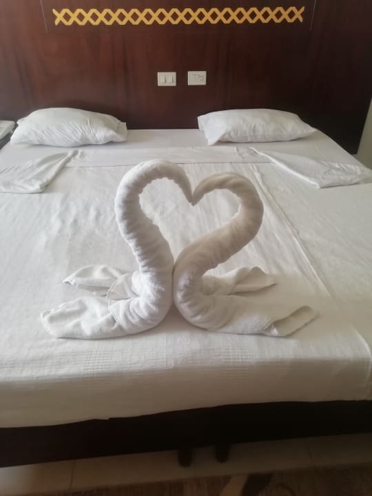 Zimmer Menaville Safaga