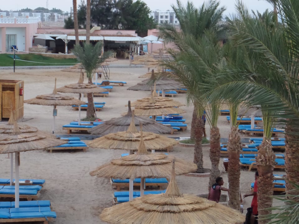 Die Liegen beim Strand Beach Albatros Resort