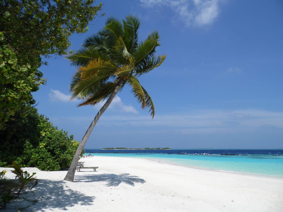 Traumhaft Royal Island