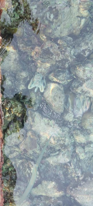 Strand Casa Mare Resort