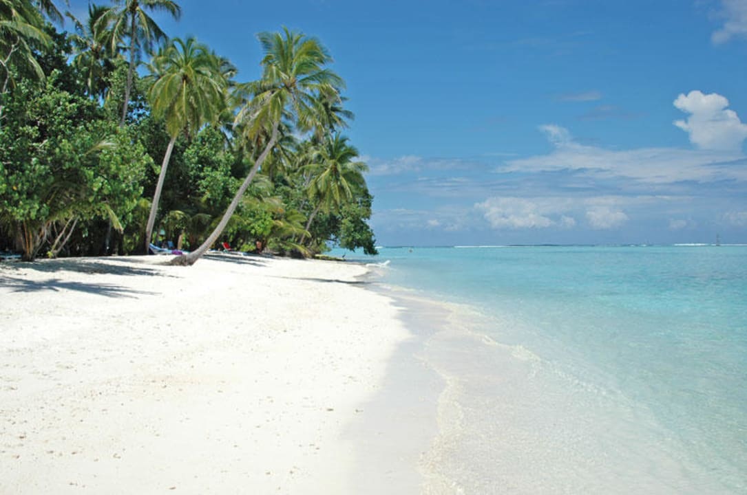 Meeru 2005 Meeru Maldives Resort Island