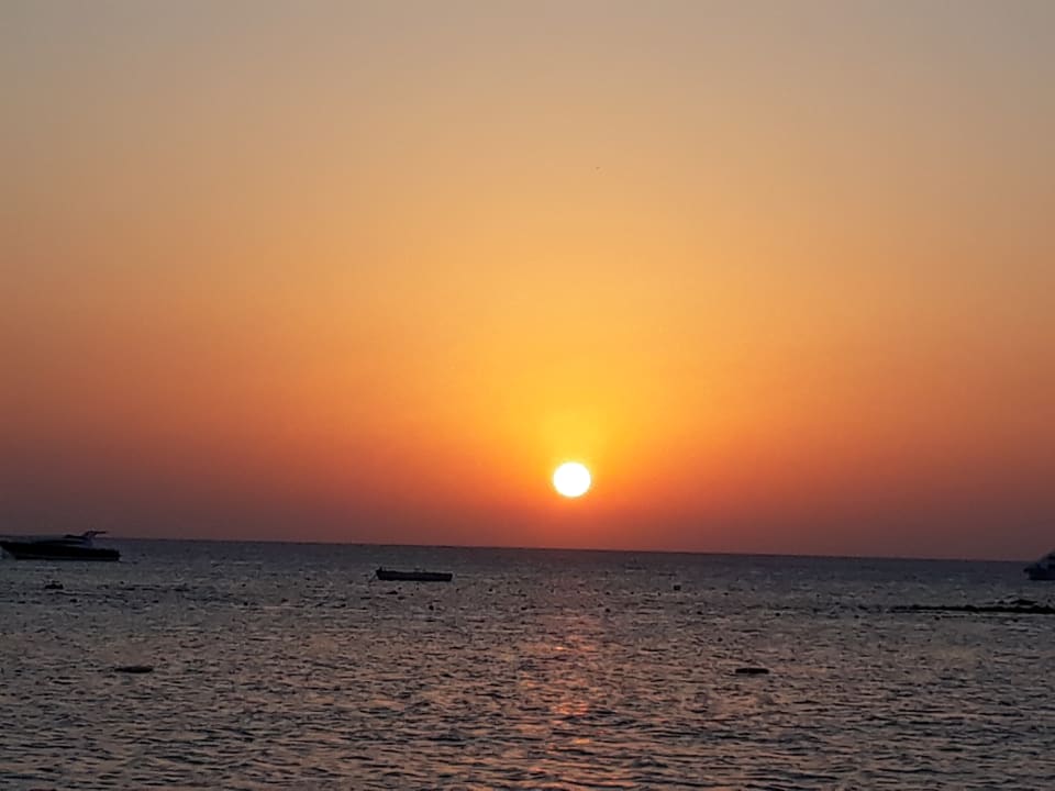 Ausblick Jaz Makadi Oasis Resort