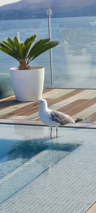 Pool Iberostar Selection Santa Eulalia Ibiza