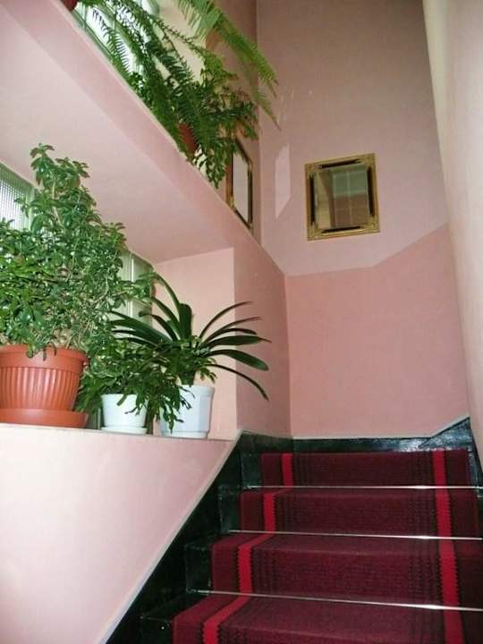 Klatka schodowa. Hotel Korona