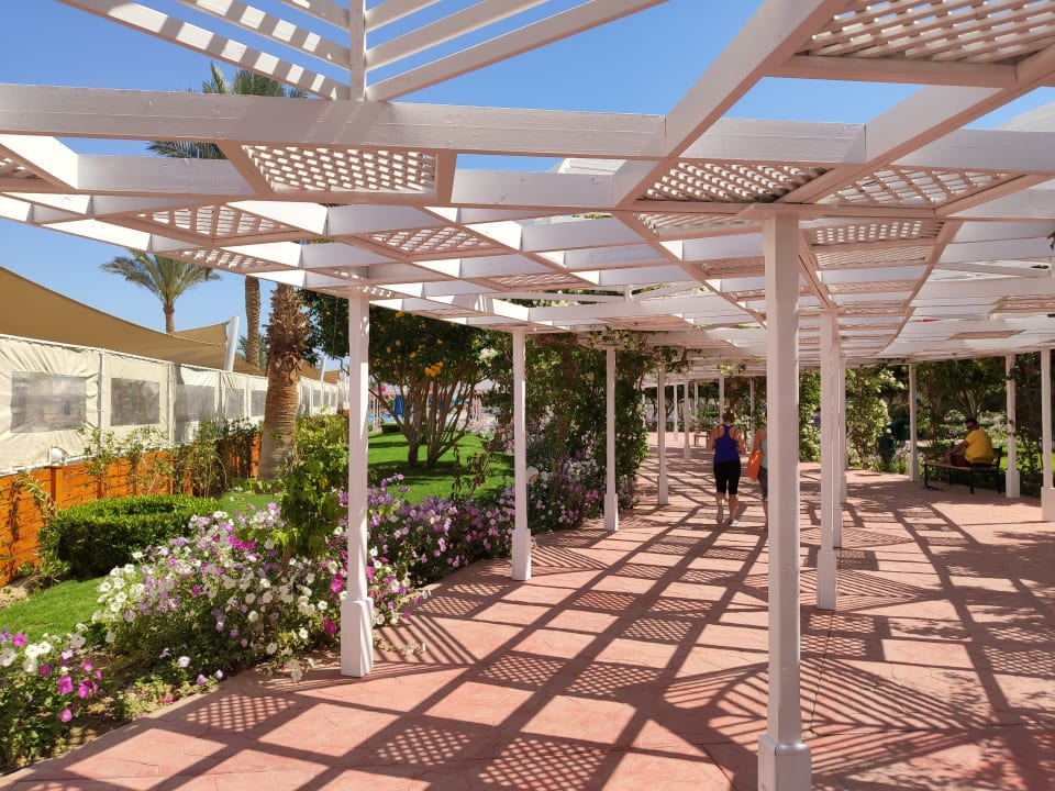 Ausblick Desert Rose