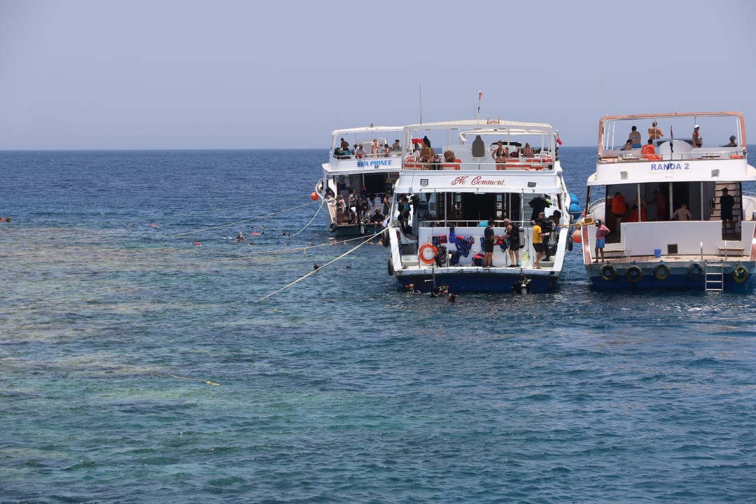 Sport & Freizeit Pickalbatros Citadel Resort