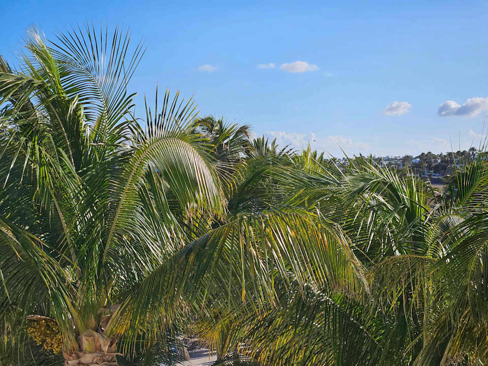 Zimmer Hipotels La Geria