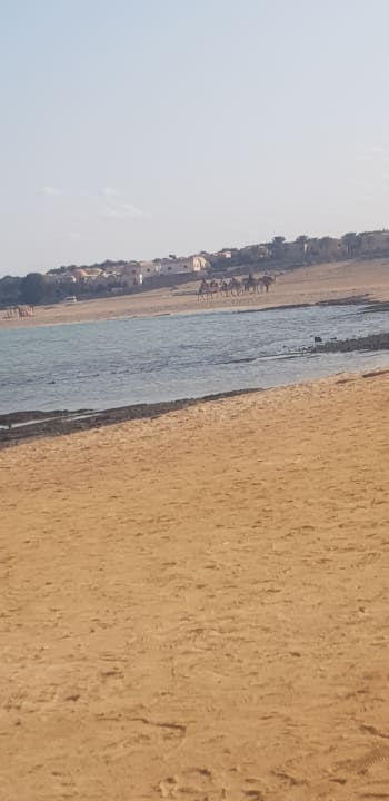 Außenansicht Laguna Beach Marsa Resort